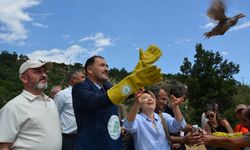 Demirci'de 300 kınalı keklik doğaya bırakıldı
