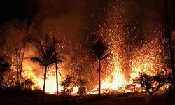 Hawaii'de orman yangınları nedeniyle 200 evin sakini tahliye edildi