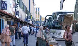 Haziranda fiyatı en fazla artan 'kara yoluyla yolcu taşımacılığı', en çok düşen 'patates' oldu