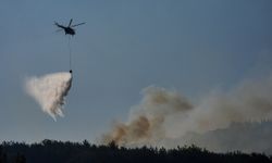 İzmir'de yangına müdahale sürüyor! Milli Savunma Bakanlığı Açıklama Yaptı