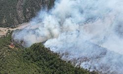 Karabük'te orman yangınına müdahale ediliyor