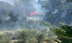 Muğla'da evde başlayan yangın ormana sıçradı