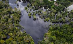 Peru'daki Amazon ormanlarında temas kurulmamış kabile görüntülendi