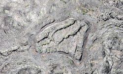 Tendürek Dağı'nda lav kayaları arasına inşa edilen "gizemli kale" kalıntısı görüntülendi
