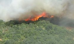 Çanakkale'deki orman yangınında 2'nci gün