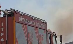 Diyarbakır’da anız yangını 9 saatte söndürüldü, 12 bin dönüm arazi zarar gördü