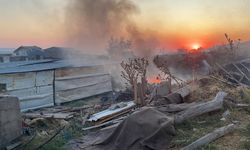 Edirne'de otluk alanda yangın; polis ağaç dallarıyla müdahale etti