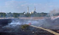 Edirne'de otlukta yangın; ekipler ve mahalleli seferber oldu