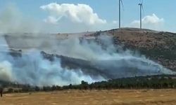 Gaziantep’te meşelik yangını