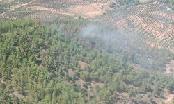 Hatay'da orman yangını büyümeden kontrol altına alındı