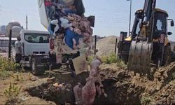 İstanbul - Avcılar'da çevreye yayılan koku, bozuk tavuk eti deposunu ortaya çıkardı