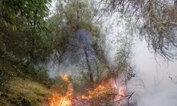 Karabük’te yıldırım düşen ormanda örtü yangını çıktı