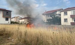 Ot yangını, çevredeki ev ve bahçelere sıçramadan söndürüldü
