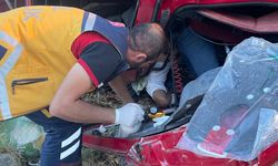 Şırnak’ta şarampole devrilen TIR’ın sürücüsü yaralandı