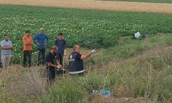 Sivas’ta hafif ticari araç devrildi: 1 ölü, 2 yaralı