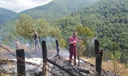 Tarladaki anız ateşi ormana sıçradı