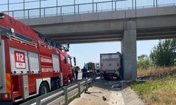 TEM'de köprünün beton ayağına çarpan kamyonetin sürücüsü yaralandı