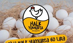 Uşak'ta 'Halk Yumurta' projesi
