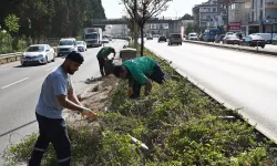 Orta refüjlere kapsamlı temizlik