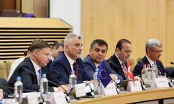 Türkiye-AB Yüksek Düzeyli Ticaret Diyaloğu Toplantısı başladı
