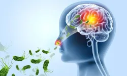 Beyin yiyen amip nedir?Tedavisi var mı?