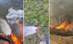 Balıkesir'deki orman yangına müdahale sürüyor
