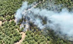 Bayramiç'teki orman yangını 24 saat sonra kontrol altına alındı