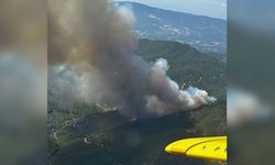 Bergama'da Ormanlık Alanda Yangın