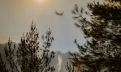 İzmir Bergama'daki orman yangını 2'nci gününde