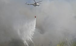 Manisa'ya Yayılan Yangın: Gökçeler Köyü Tahliye Edildi