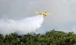 Edirne'de çıkan orman yangını kontrol altına alındı