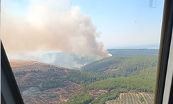 İzmir'de bir orman yangını daha çıktı!