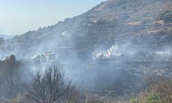 Foça'da büyük tehlike: Orman yangını araçtan çıktı!