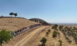 Göbeklitepe'de ağaçlar para için dikilmiş