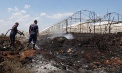 Antalya'da otluk alanda çıkan yangında 5 sera yandı