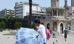 İzmir'de Sıcak Alarmı! İnsanlar Kadar Hayvanlar da Etkilendi