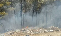 Antalya'da yerleşim yerlerine yakın alanda yangın!