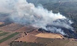 Manisa'da Orman Yangını: Müdahale Sürüyor
