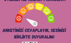 İzmir belediyelerinin otizm karnesi hazırlanıyor