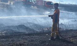 İzmir Kemalpaşa'da Tarım Arazisinde Yangın Çıktı