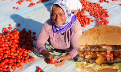 İzmir'de kurutuluyor Amerika'daki hamburgerin içine giriyor