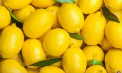 Kaynamış limon suyunun faydaları