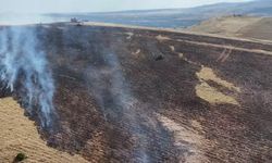 Kırıkkale'de Mangal Ateşi 3 Bin Dönüm Araziyi Kül Etti