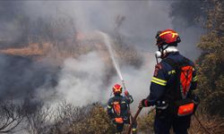 Sakız Adası’nda çıkan yangın, sakız ağaçlarını tehdit ediyor