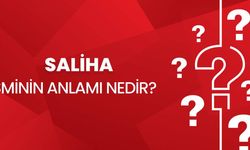 Saliha isminin anlamı nedir? Saliha ne demek, Kur'an'da geçiyor mu? Saliha isminin analizi