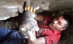 Tarsus'ta Sıkışan Yavru Köpek İtfaiye Tarafından Kurtarıldı