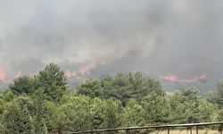 Foça'da orman yangını çıktı