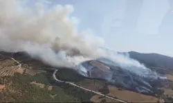 Manisa Salihli'de korkutan orman yangını