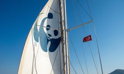 Blue Panda yelkenlisi Datça'da