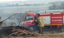 Ödemiş'teki yangında 18 dönümlük alan zarar gördü